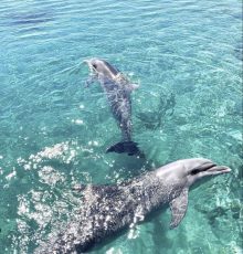 WhatsApp Image 2026-04-14 at 9.36.55 PM (1)